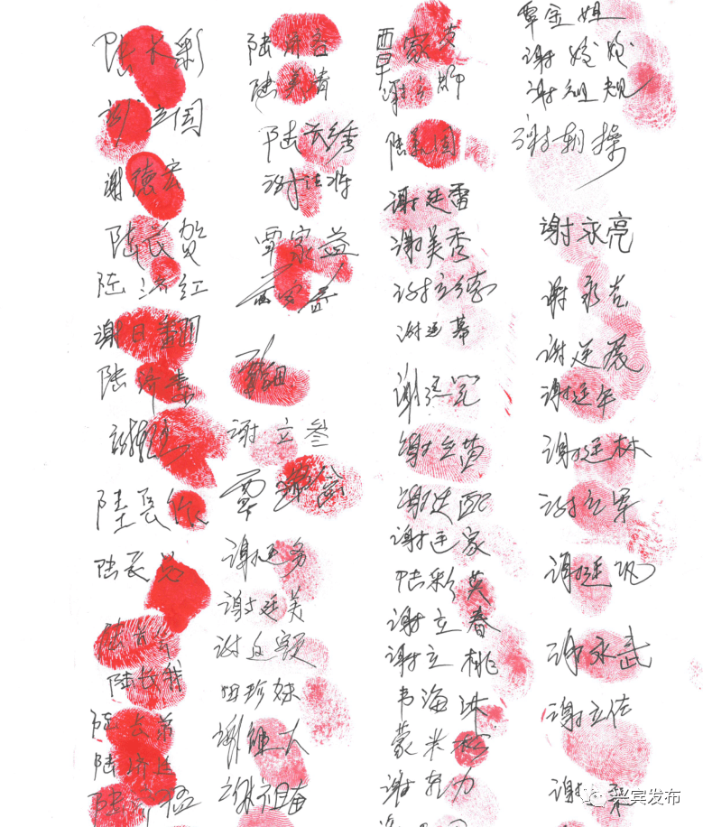乡村振兴118个红手印挽留驻村第一书记