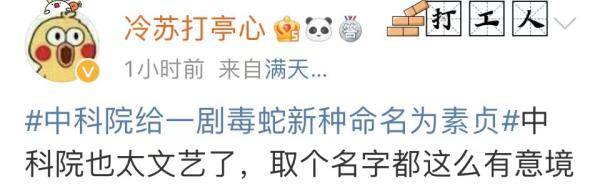 银环蛇|这种剧毒蛇，名叫素贞