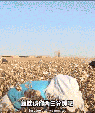 blood来源:抖音@大象新闻↓↓↓让我们一起来看看吧新疆采棉工人真实