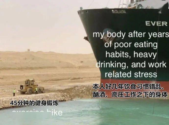 苏伊士运河堵船事件被全世界网友玩坏了