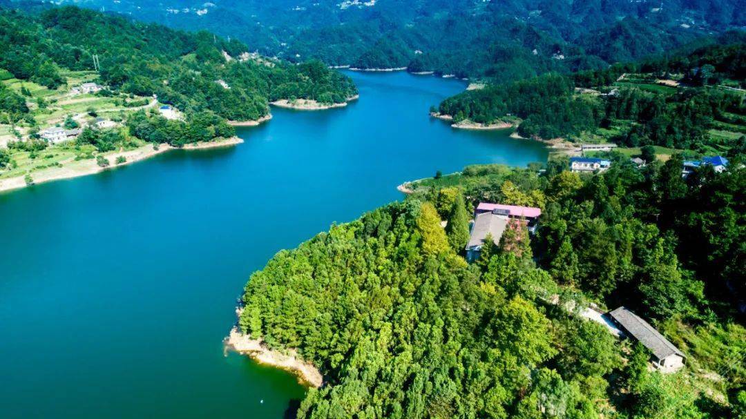 县委书记打卡三合三合茶园用心聆听的美景