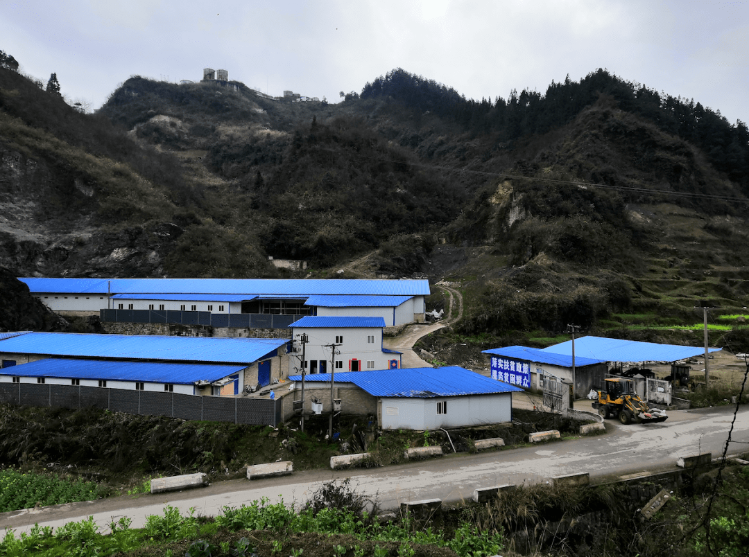 上塘镇:养殖走循环路将废物变宝