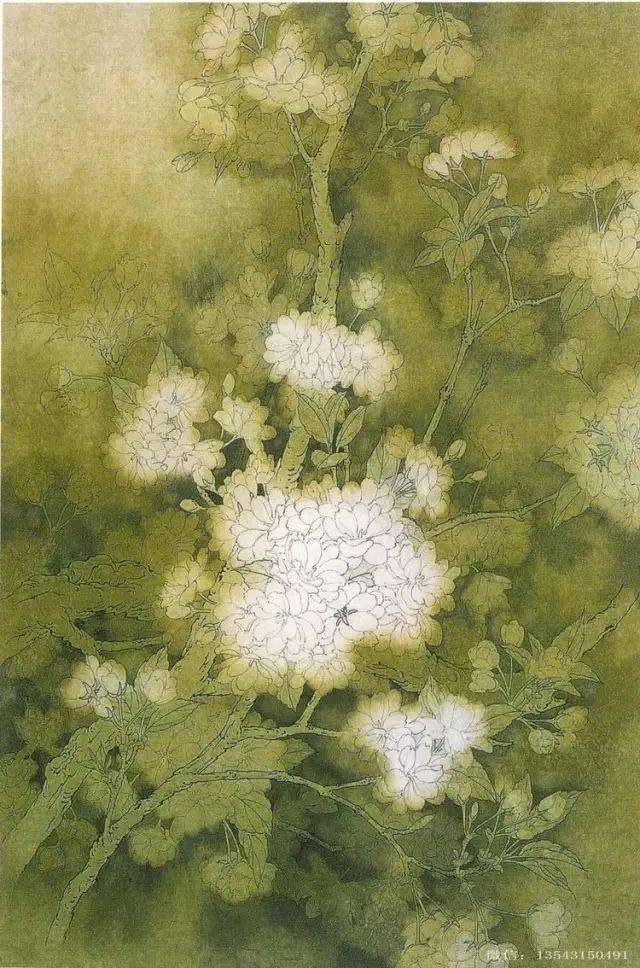 周中耀工笔樱花画法解析到位