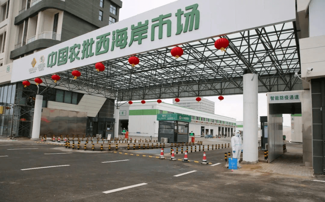 青岛日报头版头题聚焦西海岸千方百计确保项目落地媒体看新区