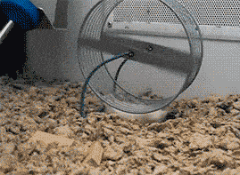 269_197gif 动态图 动图