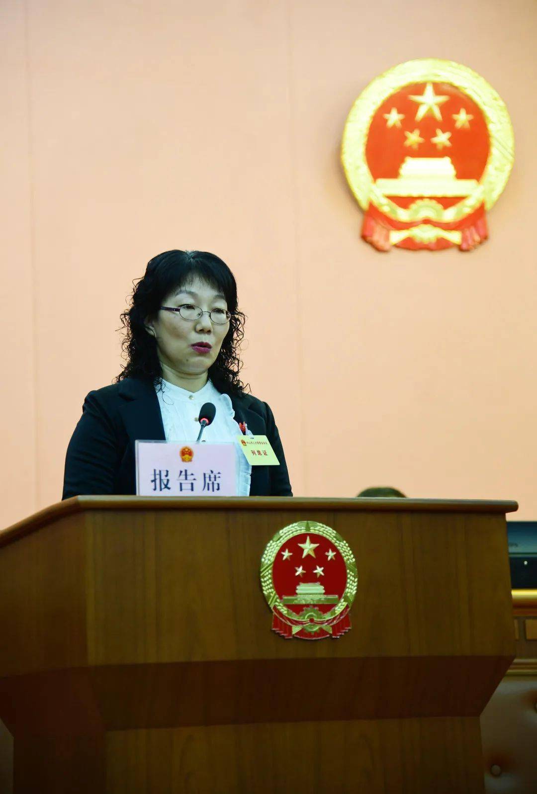 任命2名新局长中山市第十五届人大常委会第四十二次会议召开