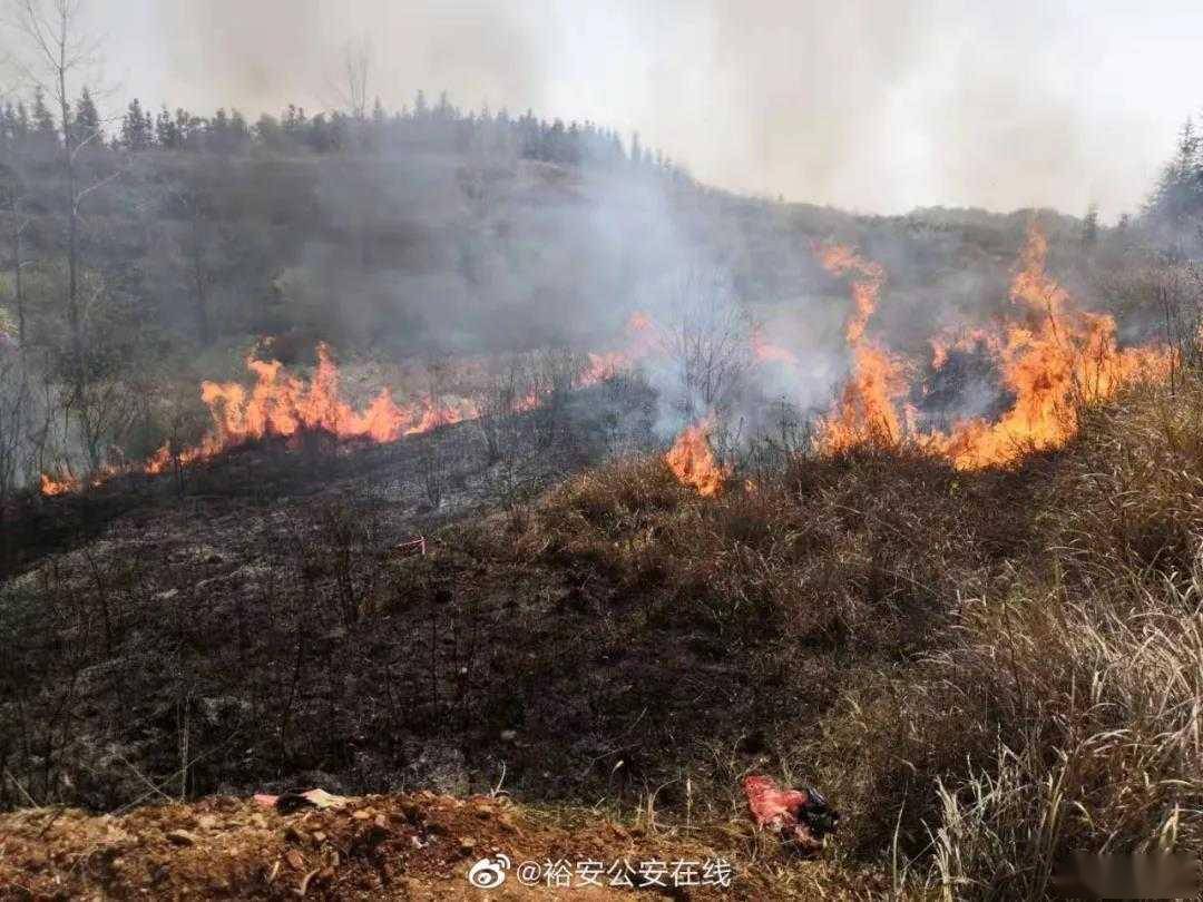 上坟烧纸引发火灾六安民警花将近一小时扑灭