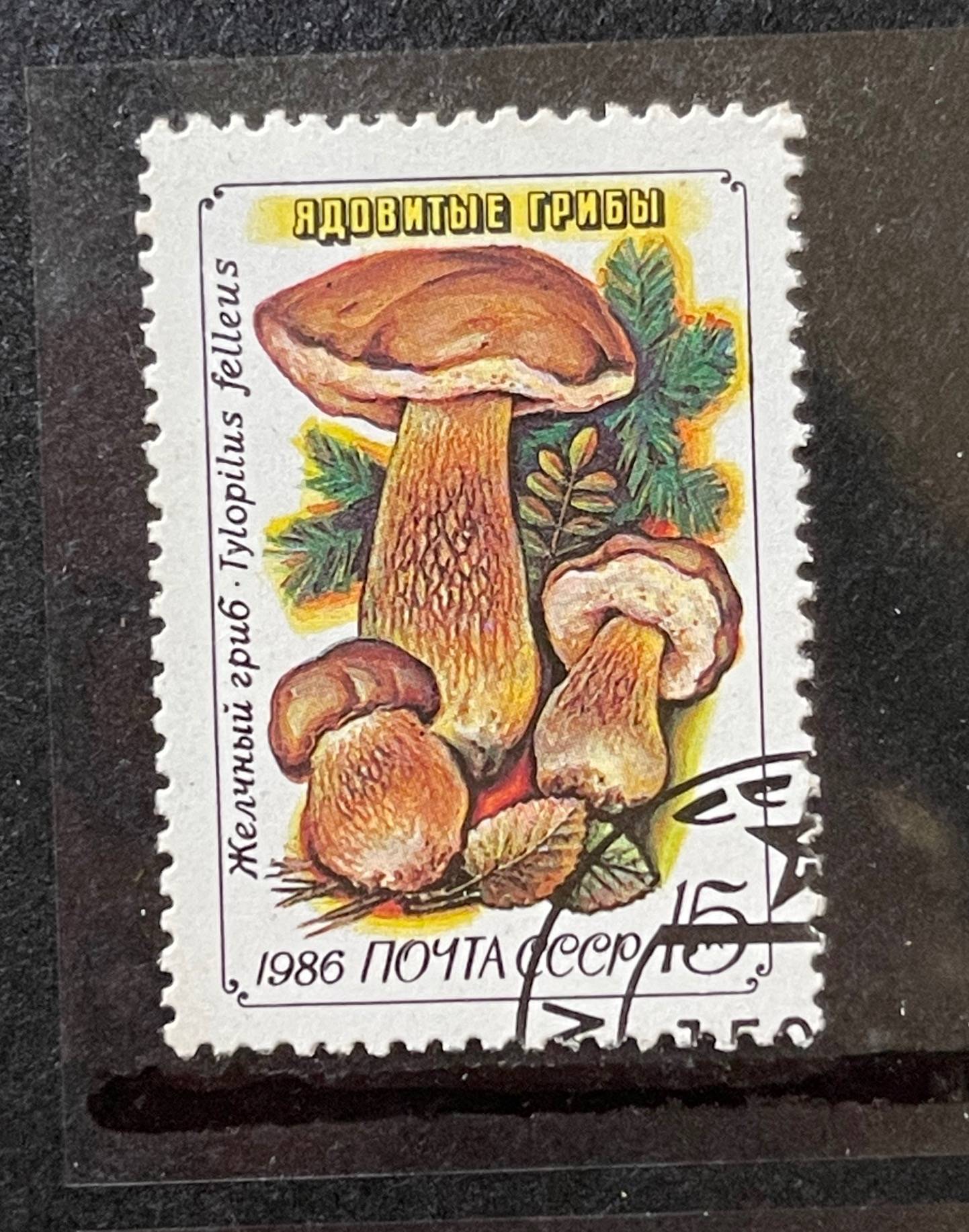 一次偶然的机会接触到了邮票,发现了这是一个丰富多彩的世界