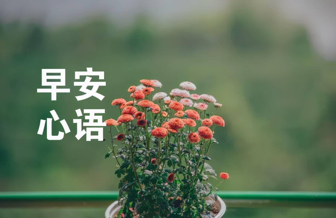 生活就是要逼自己变得逆来顺受宠辱不惊早安