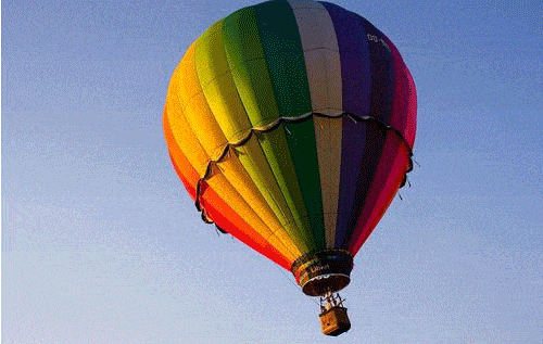 500_317gif 动态图 动图