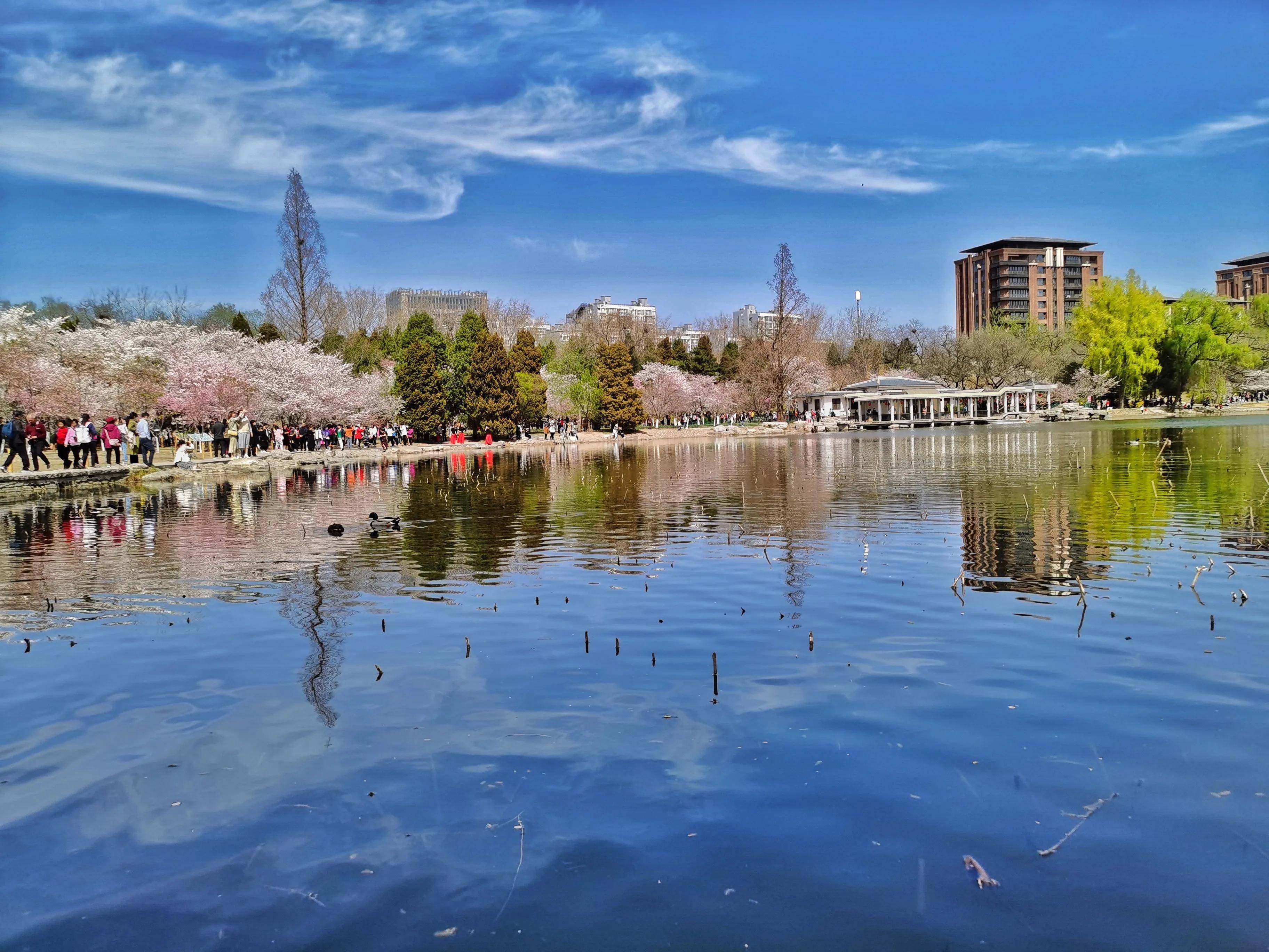 北京玉渊潭公园美景如画