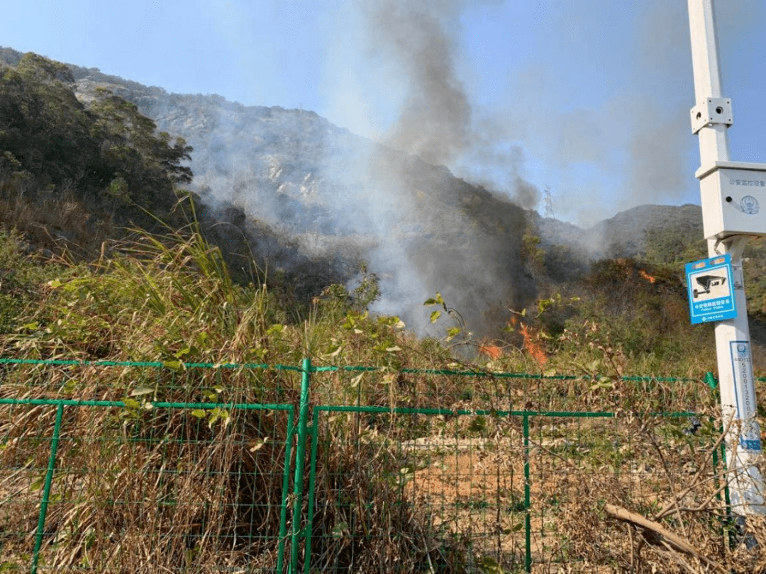 深圳大南山山火原因查明更多详情披露