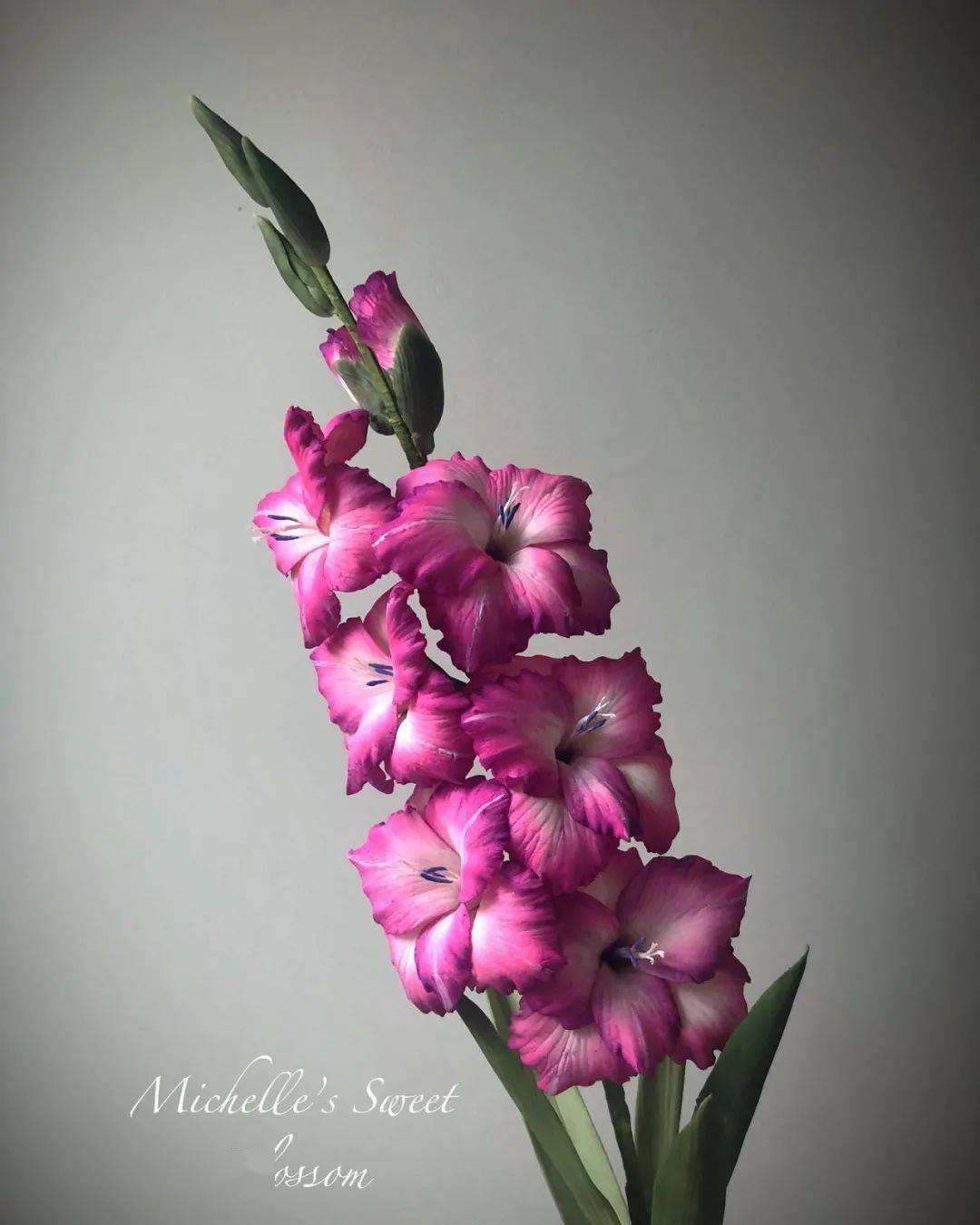 苹果做的花叫什么 8a6d26517bca40c8ad7cd0c540eb3986.jpeg