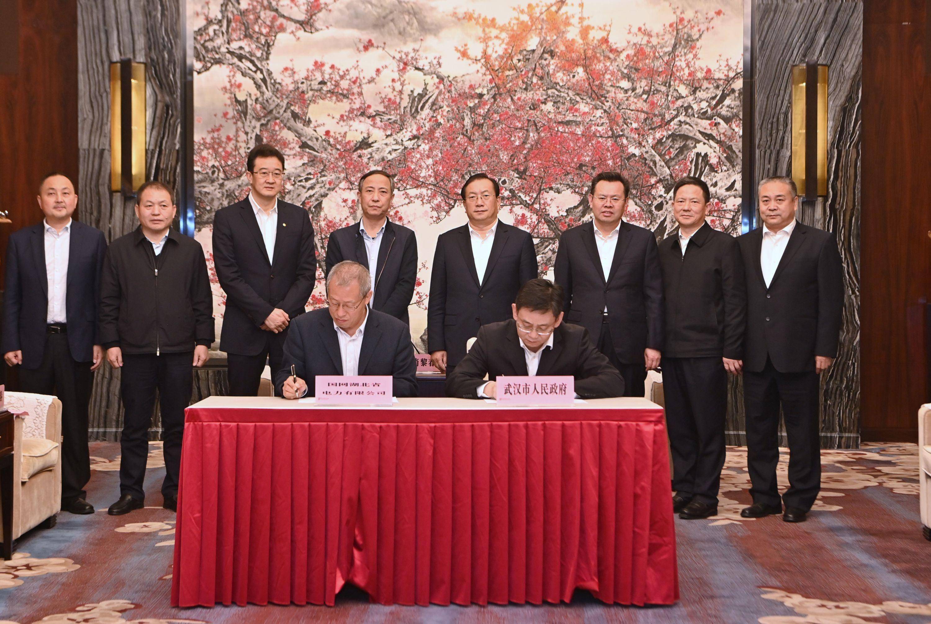 王忠林与国网湖北省电力有限公司董事长肖黎春座谈