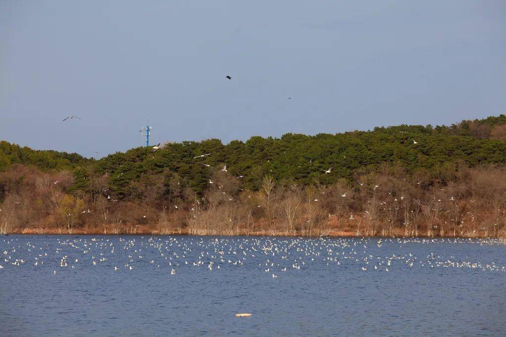 密云水库简介和作用 e46bbab12521409bb67a4cae4e4c1061.jpeg