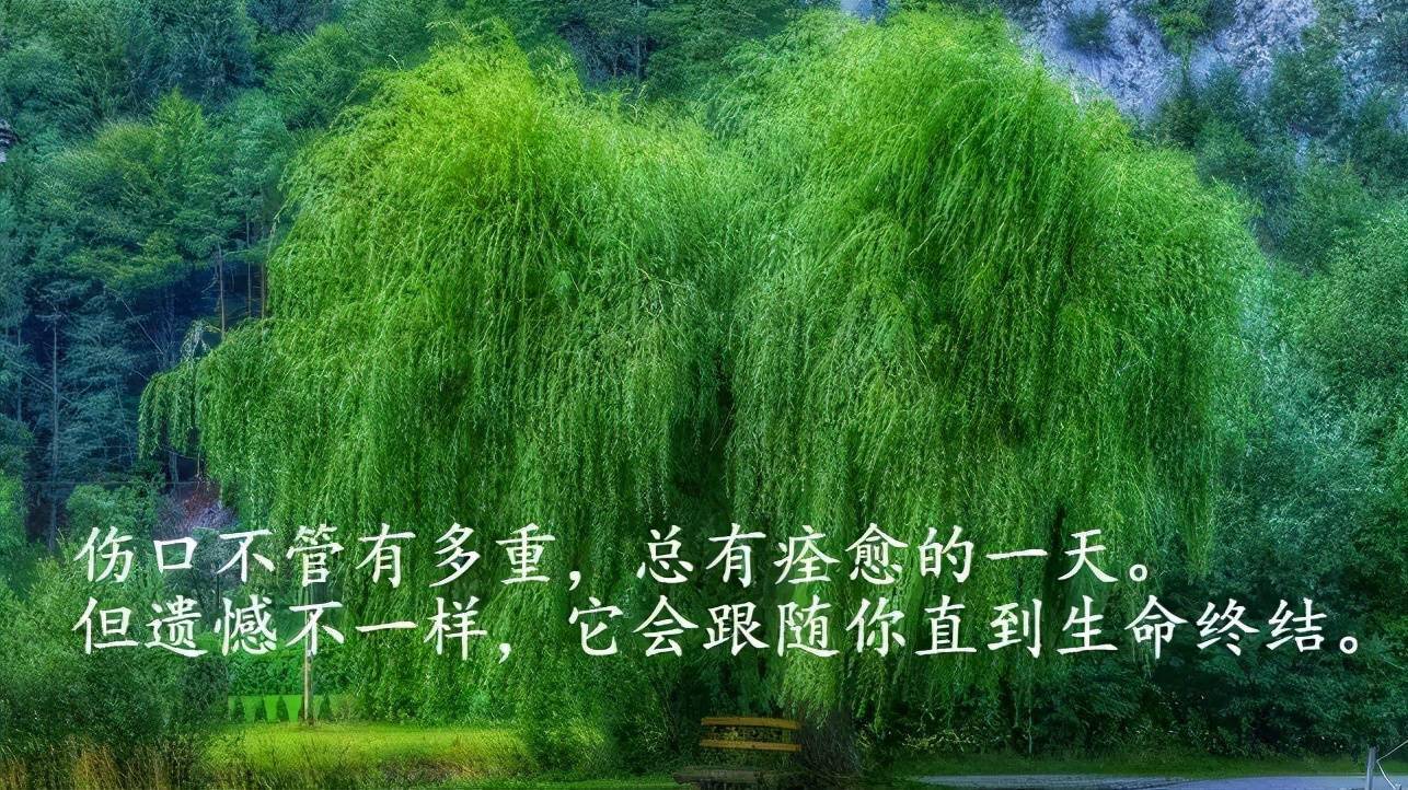  激發(fā)您內(nèi)心的體育精神：糖果雨燕體育直播，為您提供最全面、最專業(yè)的體育報道，點(diǎn)燃您的運(yùn)動熱情！