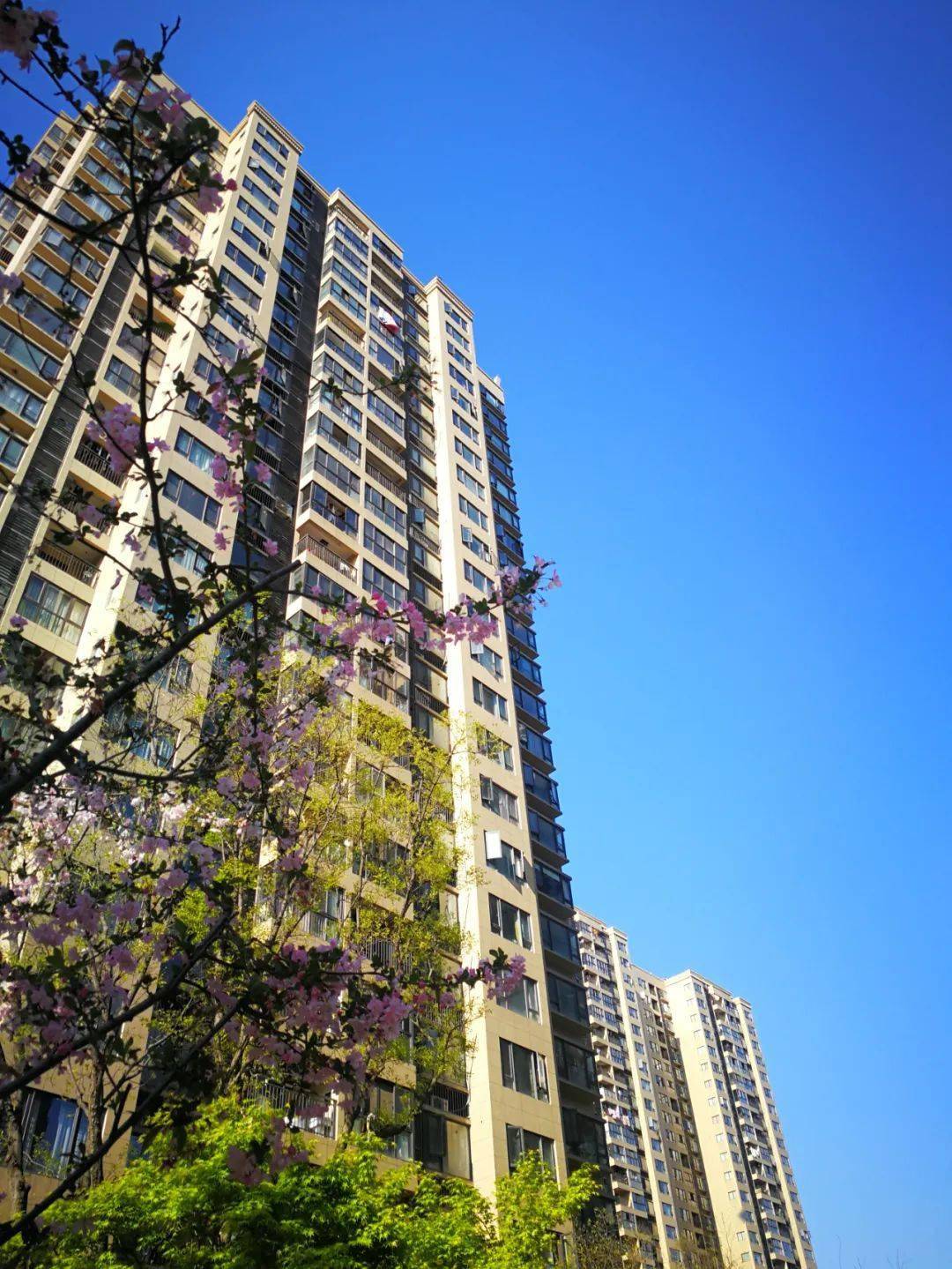 文章配图-47
