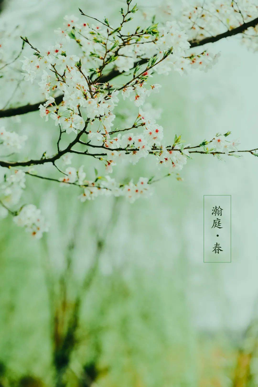 文章配图-80