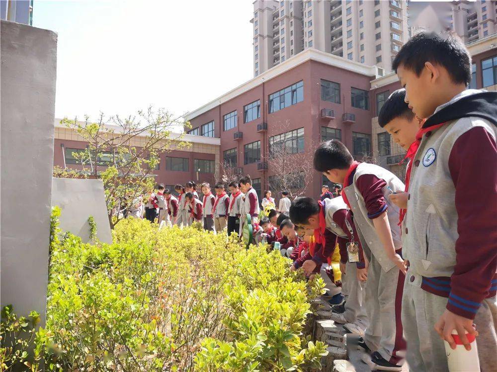 青岛大枣园小学学党史强信念跟党走
