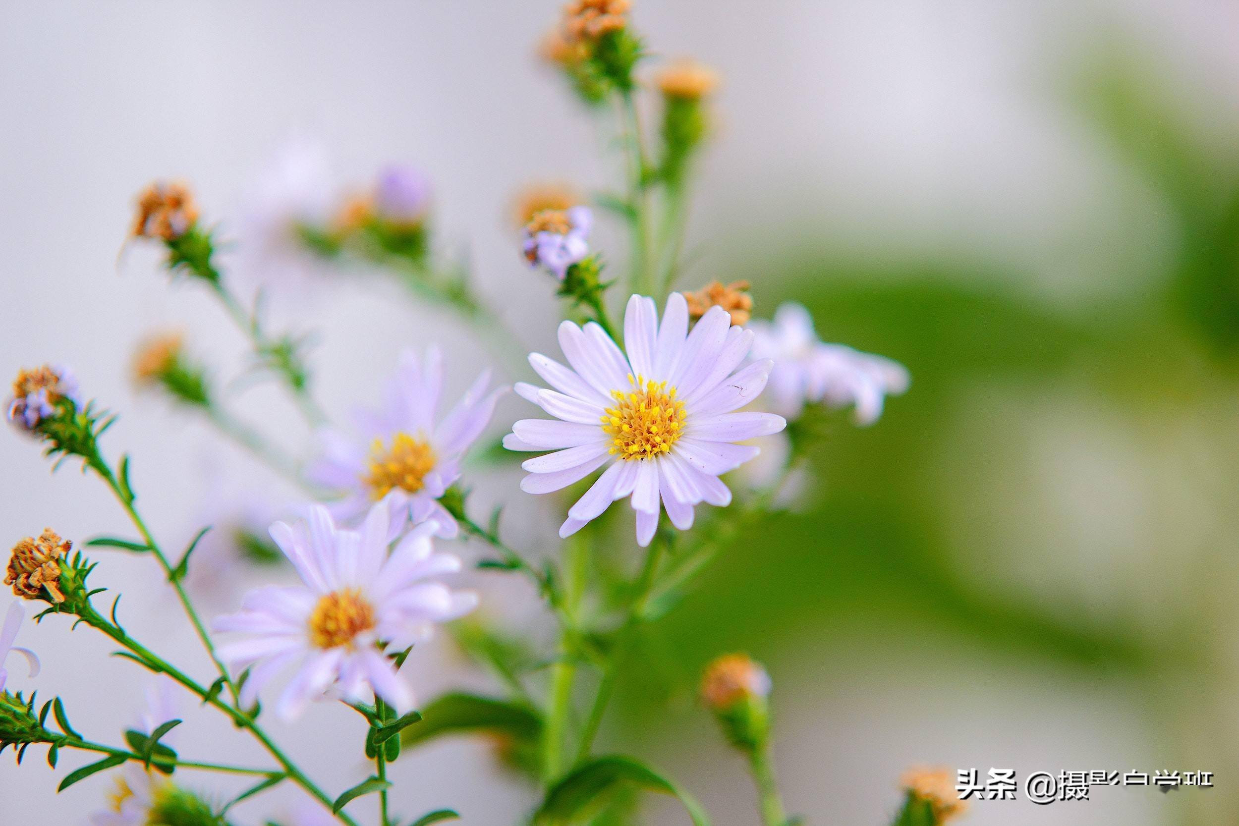 224a7517a41146d4a847013ec49740c4.jpeg