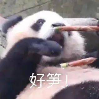301460ff093c454d8f8f612432ea3dca.jpeg