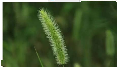 6557c8ef7e82485980496d63cdfaadcd.jpeg