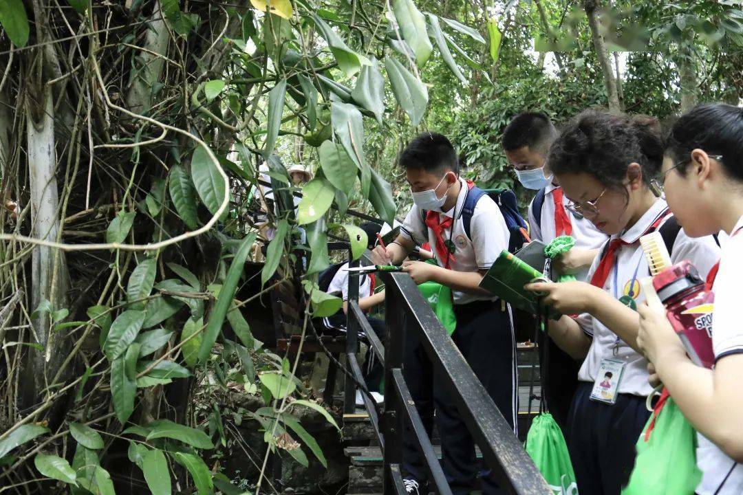 笃行少年探秘雨林三亚市第九小学六年级呀诺达研学之旅圆满结束