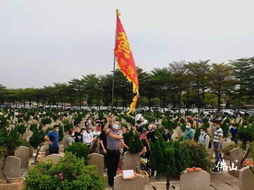 67文明祭掃蔚然成風今天佛山人行正清