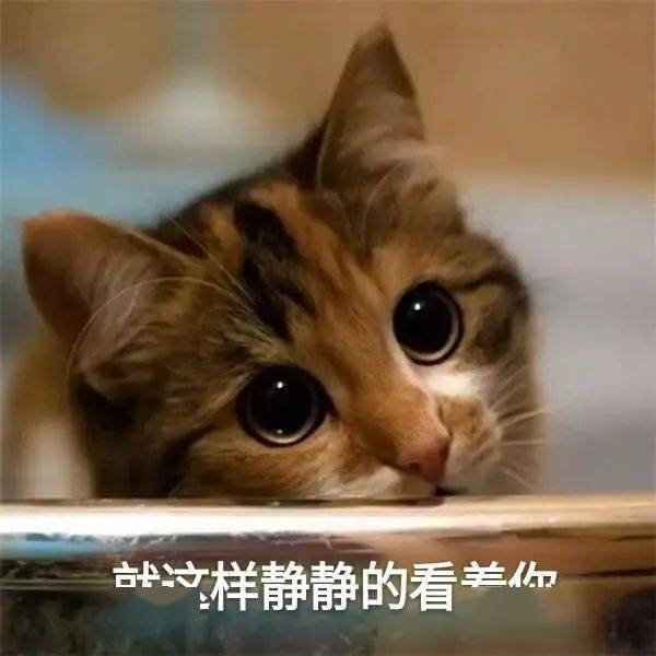 7acb3ad6ddfc429197e3f1fd1f2c6ba9.jpeg