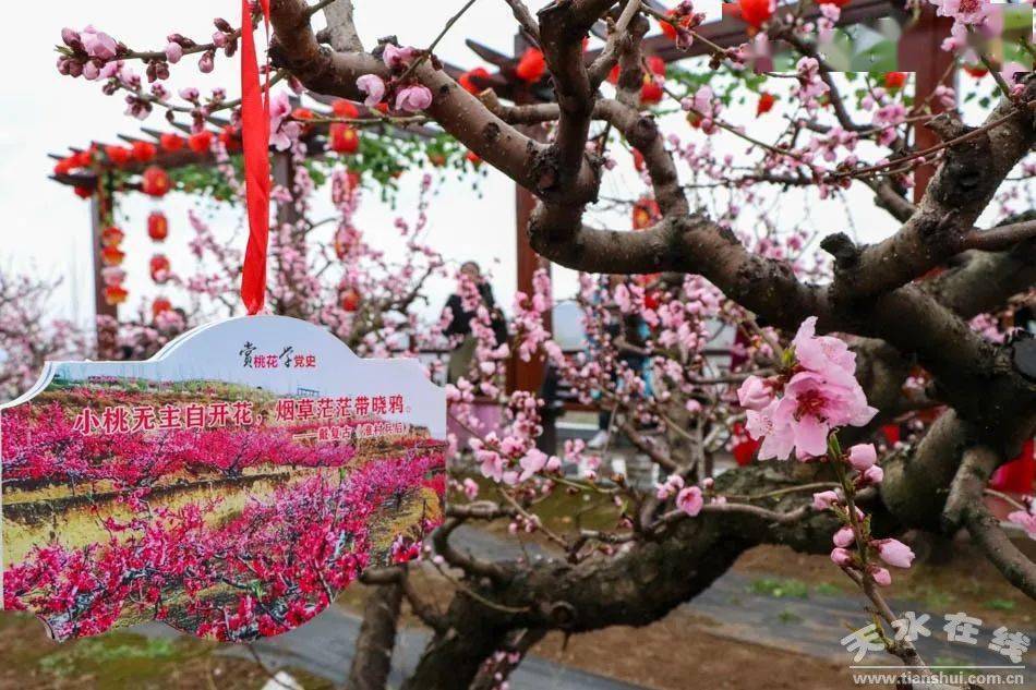 秦安县2021年桃花会开启预热模式组图