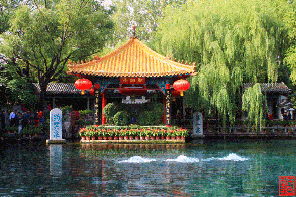 580_386gif 动态图 动图