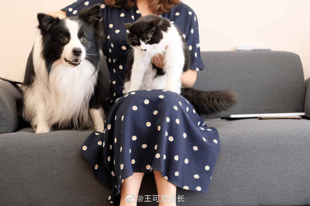 网友@王可爱园长家就有这么一对兄弟