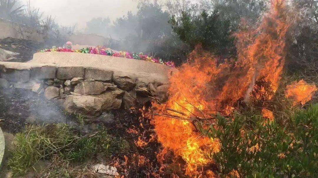 清明祭祖变烧山后果