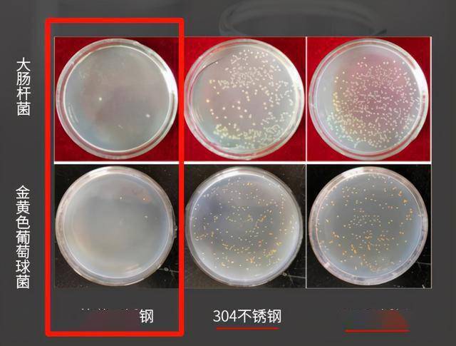 中科院研发专利不锈钢解决传统筷子发霉的问题抗菌防霉又防滑