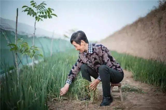 1997年7月28日,天津一中高三学生安金鹏在阿根廷举行的第三十八届国际