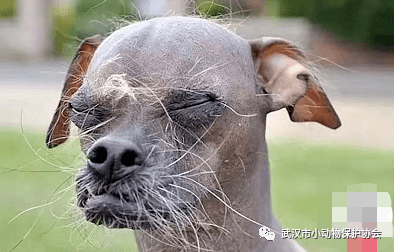 9707470b0d954b019e22a19f478355a0.png