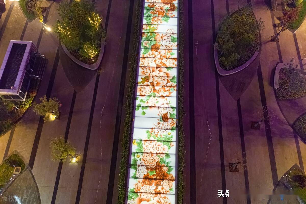 洛阳牡丹广场69米长巨幅玻璃牡丹画惊艳全城众多市民打卡拍照