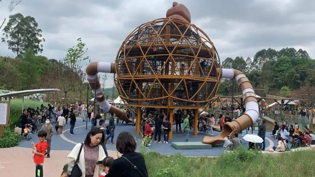 你还没来双流打卡吗?
