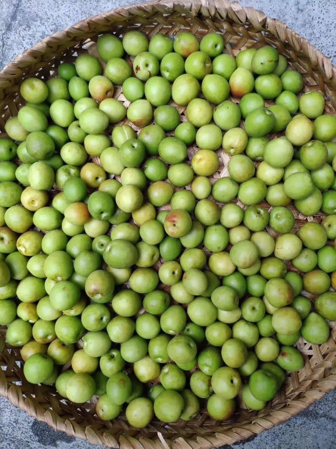 罗定人当季的青梅果除了能泡酒原来还有这些馋人的做法