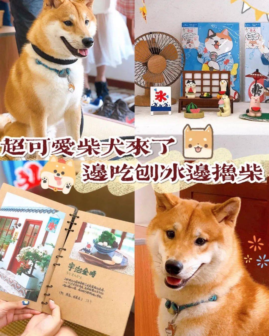 b58d1ff8de0a4b2ba7c146183bf12c3e.jpeg