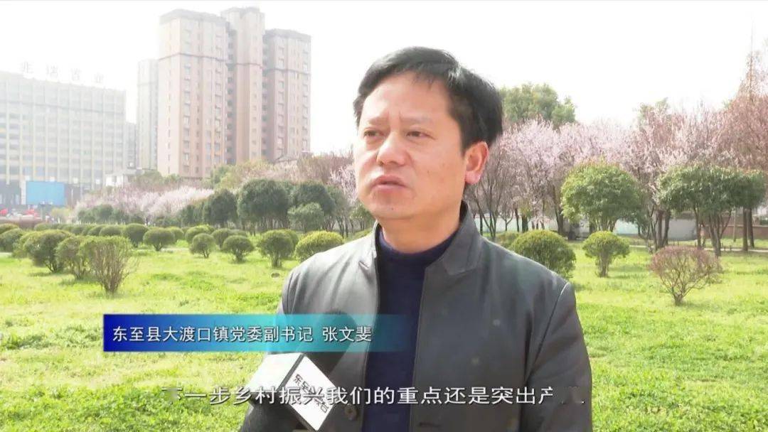 东至县大渡口镇党委副书记张文斐"下一步乡村振兴我们的重点还是突出