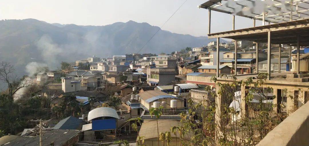 忙肺村原生态植被丰富多元,海拔1380 米,年平均气温18.