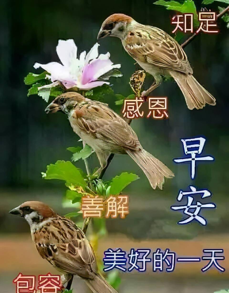 2164ce550c5544cabbb4084993c859e1.jpeg