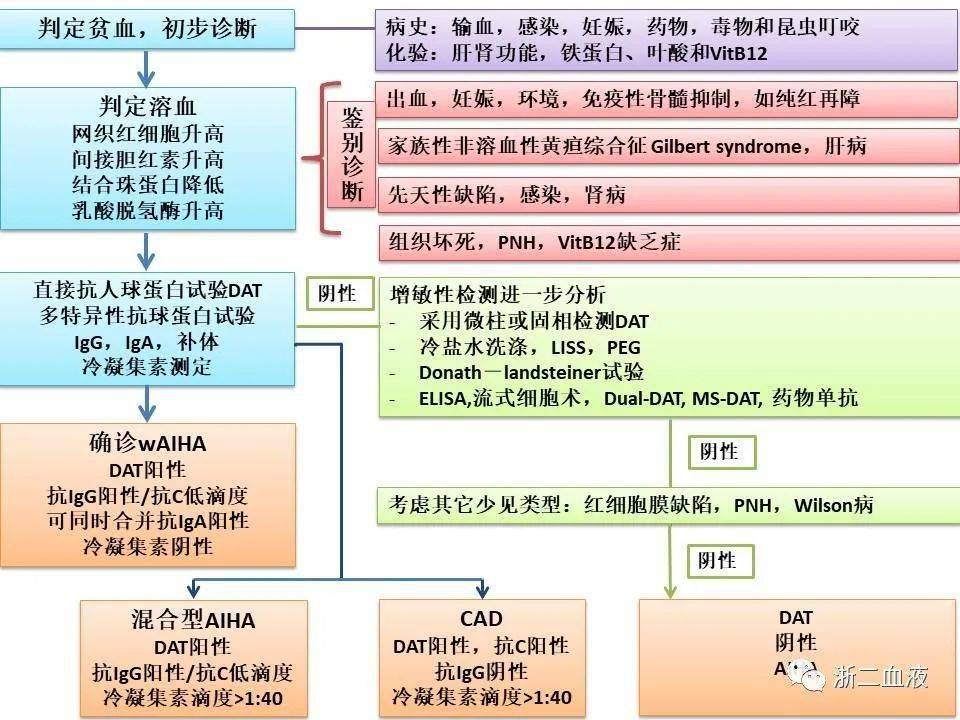 温抗体型自身免疫性溶血性贫血现状与进展