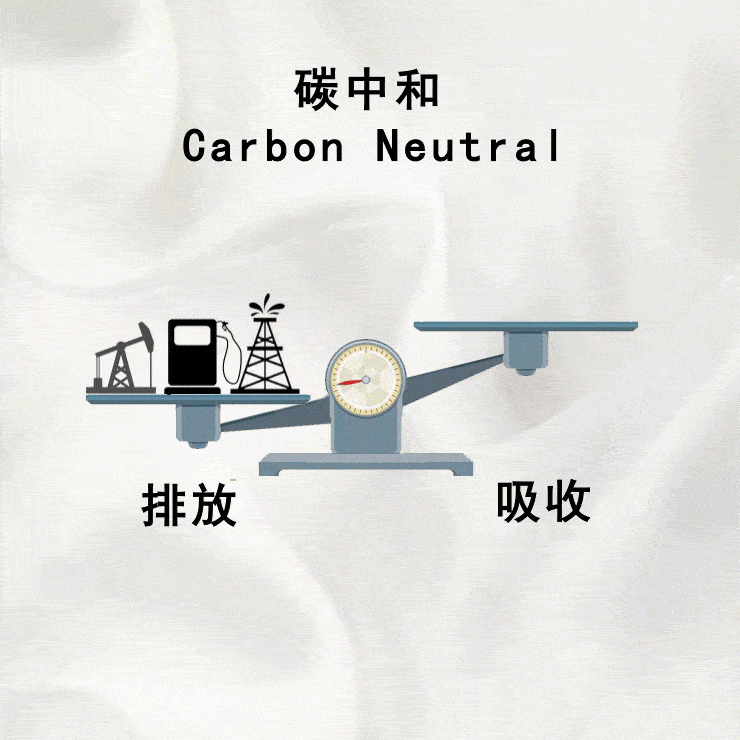 关于碳中和我们说点不一样的