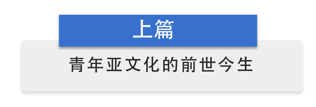 从 杀马特 到 鬼畜 中国网络的数百种 亚文化 圈层正在发生什么 主流