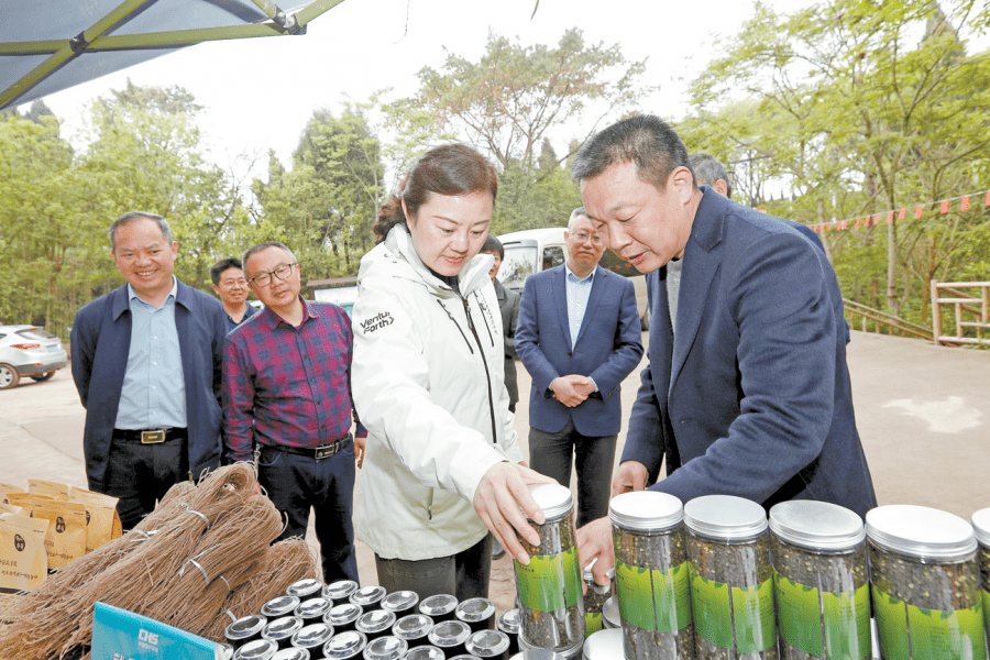 卢红到观胜铜鼓吴家清流调研