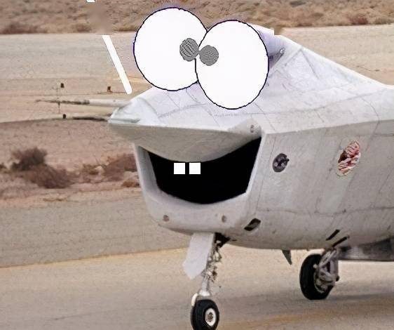 这件事都过去了快30年了,至今还有很多美国人用这架飞机做天然表情包.