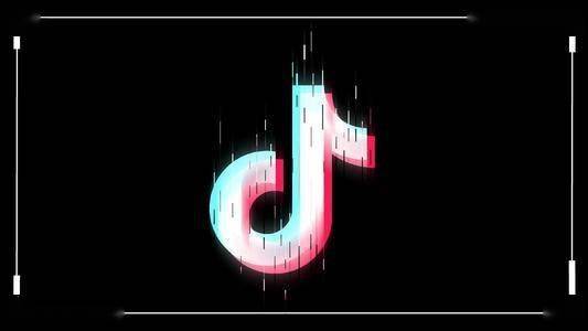 抖音app内购买项目是什么意思