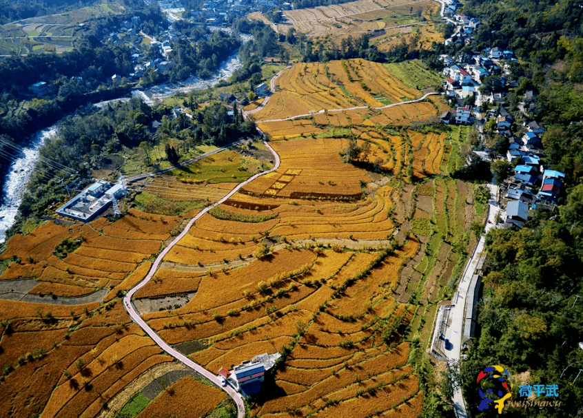 贵州省惠水县黄土村人口_贵州省惠水县好花红村(2)